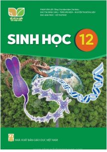 Sinh học 12 - Kết nối tri thức với cuộc sống