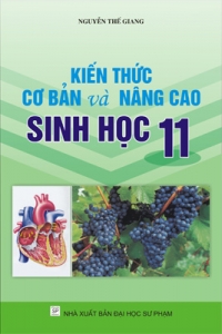 Kiến thức CB và NC Sinh học 11